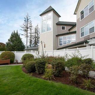 A well-maintained garden with shrubs and a lush lawn beside a modern building.
