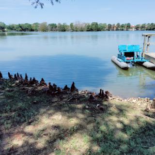A serene view of a lake with ducks resting by the shore and a blue boat docked nearby.