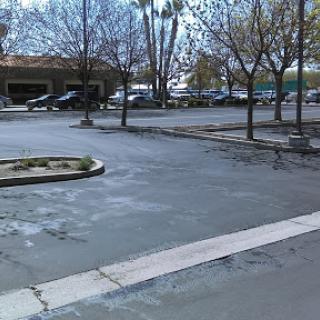 An empty parking lot with trees lined along the sides on a clear day.