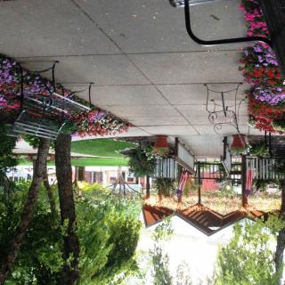 A picturesque outdoor pathway with benches and vibrant flowers lining the sidewalk.