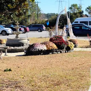A serene garden scene featuring a fountain and blooming flowers, with parked vehicles in the background.