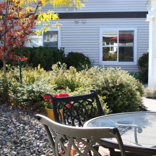 A sunny patio with a table and chairs surrounded by lush garden plants.