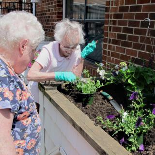 Two elderly women gardening together in a sunny outdoor space.