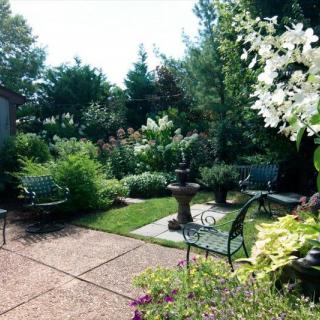 A tranquil garden with lush greenery, blooming flowers, and inviting benches under a clear sky.