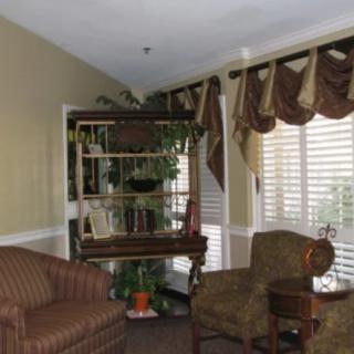 A cozy living room with a sofa, an armchair, and a shelving unit filled with indoor plants near large windows adorned with curtains.