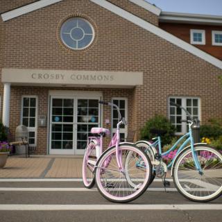 Two pastel-colored bicycles parked in front of a building entrance.