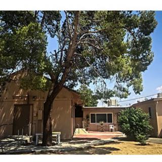 A sunny day view of a house with a large tree in the yard.