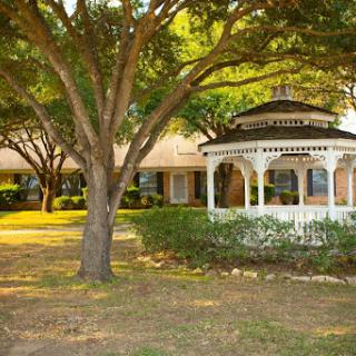 A charming gazebo surrounded by lush greenery and trees in a serene garden setting.