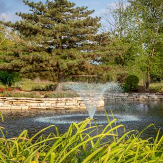 A serene garden pond with a fountain surrounded by lush greenery and trees.