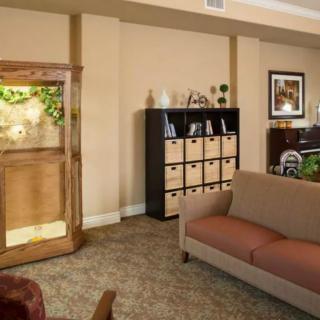 A cozy living room featuring a sofa, wooden cabinet, and storage shelf with decorative items.