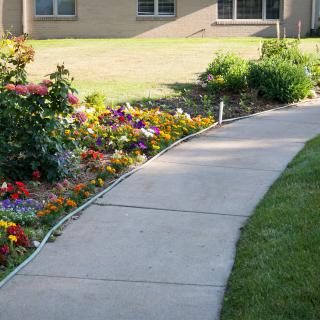 A curved sidewalk bordered by a colorful flower garden in a residential area.