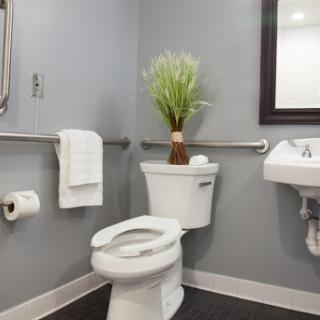 A modern bathroom featuring a toilet, sink, and decorative plant.