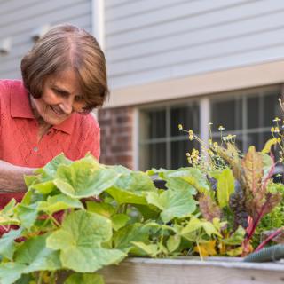 A woman tending to her garden filled with lush plants.