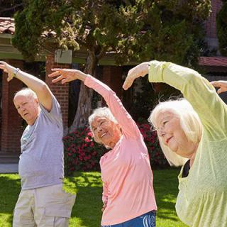 A group of seniors enjoying outdoor exercise and stretching together.