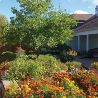 A beautiful garden filled with vibrant flowers in front of a house.
