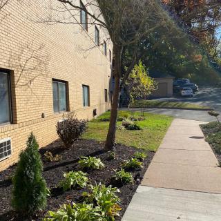 A landscaped area alongside a building on a sunny day.