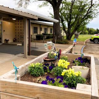 A vibrant garden with yellow and purple flowers planted in a wooden box, set against a backdrop of a building and trees.