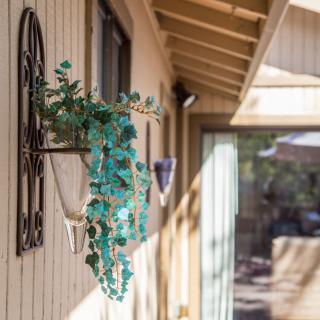 A wall-mounted planter with ivy in sunlight outside a house.