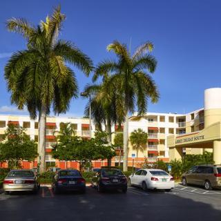 A sunny day at a hotel with palm trees and a parking lot full of cars.