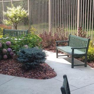 A serene garden with benches and lush greenery enclosed by a fence.
