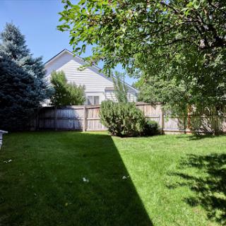A serene backyard with lush green grass, surrounded by trees and a wooden fence.
