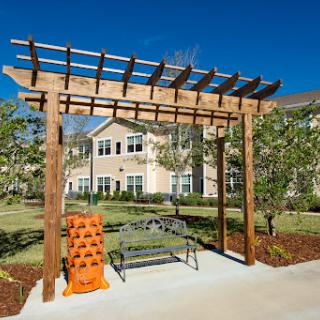 A wooden pergola with a bench set in a landscaped area, enhanced by lush greenery under a clear blue sky.