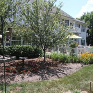 A well-maintained backyard garden with trees, flowers, and a patio area.