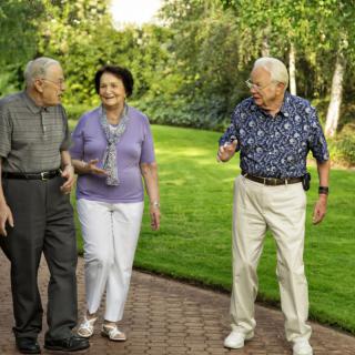 A group of elderly people enjoying a walk in the park on a sunny day.