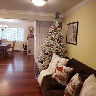 A cozy living room decorated for the holidays with a Christmas tree and festive pillows.