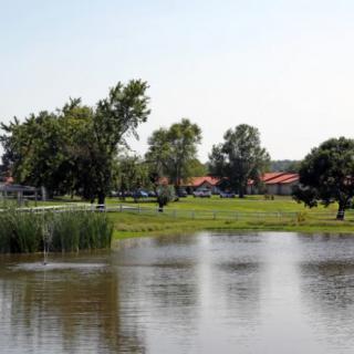 Scenic view of a tranquil lake surrounded by trees and greenery.
