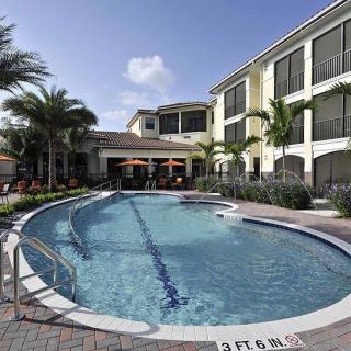 A luxurious resort with a sparkling outdoor swimming pool surrounded by palm trees.