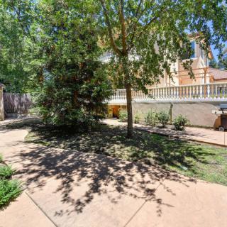 A sunny backyard with a tree providing shade on the pathway.