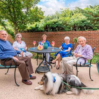 A group of seniors enjoying a relaxing afternoon on the patio with a dog.