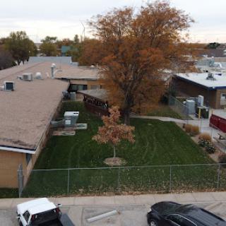 An aerial view of a school surrounded by autumn foliage and neatly maintained grass.
