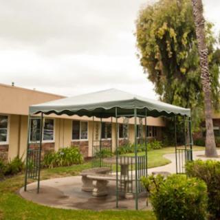 A green canopy in a garden area next to a building on an overcast day.