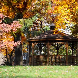 A wooden gazebo surrounded by vibrant autumn foliage in a peaceful park setting.