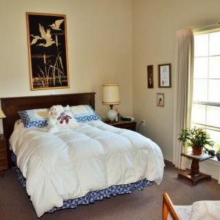 A cozy bedroom with a neatly made bed, decorative pillows, and a lamp on the nightstand. Sunlight streams in through the window, illuminating a potted plant on a small table.