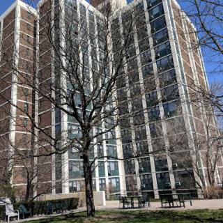 A tall residential building beside a barren tree under a clear blue sky.