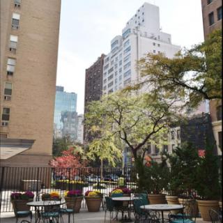A serene urban scene featuring a mix of greenery and city buildings.
