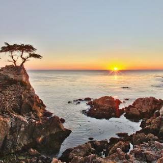 A serene sunset over the ocean, framing a lone tree on the rocky shoreline.