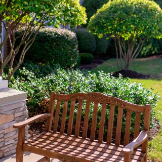 A wooden bench in a serene garden surrounded by lush greenery and shrubs.