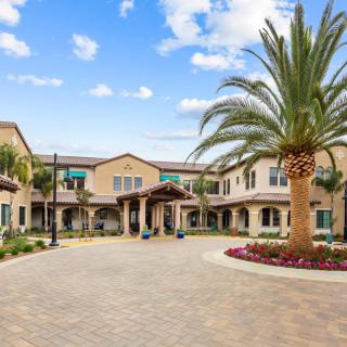 A modern residential building with a palm tree in the courtyard and a clear blue sky.