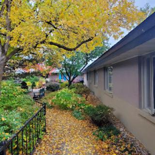 A serene autumn scene showcasing a colorful pathway lined with fallen leaves and a vibrant tree.
