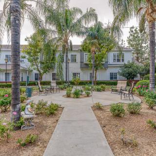 A serene courtyard with palm trees, benches, and a pathway leading to residential buildings.