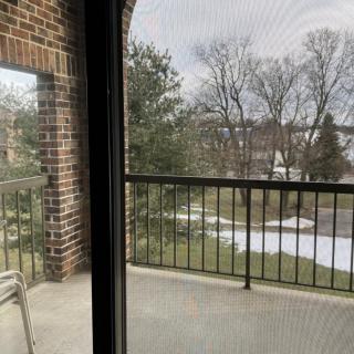 A view from a balcony overlooking trees and an overcast sky.