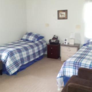 A cozy bedroom with two single beds, each covered in blue and white plaid bedding, separated by a nightstand equipped with a lamp. A piece of wall art decorates the plain white wall above.