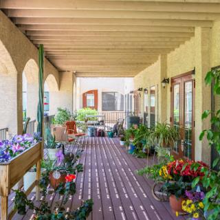 A vibrant porch adorned with a variety of blooming plants and flowers, inviting a serene outdoor atmosphere.
