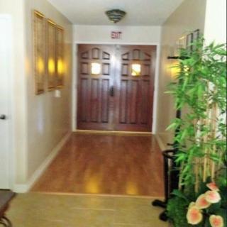 A hallway with wooden double doors and a potted plant.
