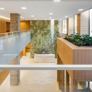 A modern office interior featuring wood paneling, natural light, and indoor plants.