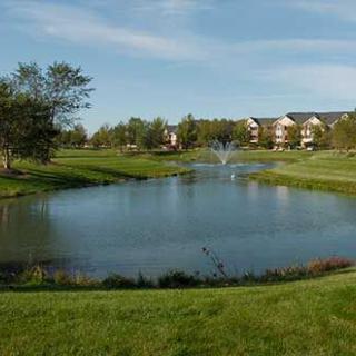 A serene landscape featuring a pond with a fountain, surrounded by grass and trees, with buildings in the background under a clear sky.
